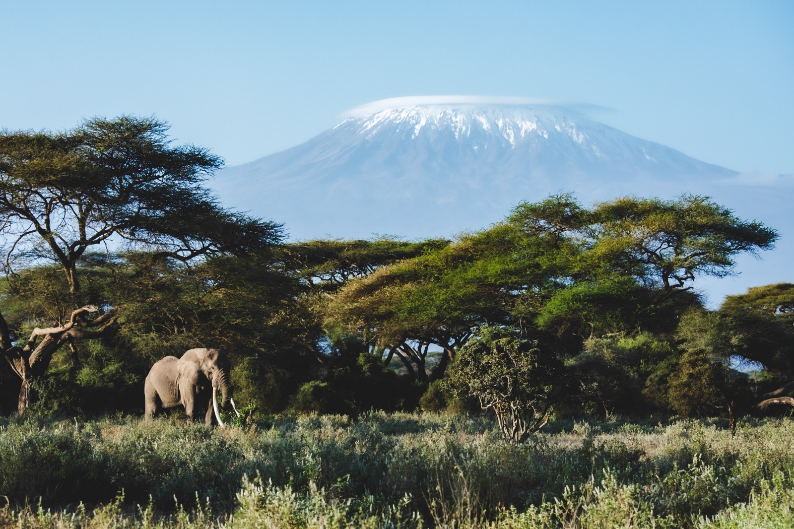 12 Days 11 Nights Kenya –Tanzania Private Fly-In Safari